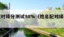 姓名配对缘分测试98%（姓名配对缘分测试打分）