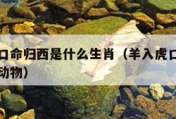 羊入虎口命归西是什么生肖（羊入虎口命归西是什么动物）