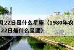 12月22日是什么星座（1980年农历12月22日是什么星座）