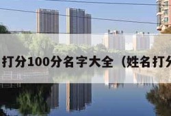 姓名打分100分名字大全（姓名打分儿）