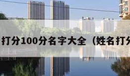 姓名打分100分名字大全（姓名打分儿）