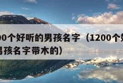 1200个好听的男孩名字（1200个好听的男孩名字带木的）