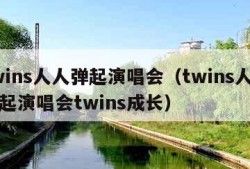 twins人人弹起演唱会（twins人人弹起演唱会twins成长）