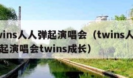 twins人人弹起演唱会（twins人人弹起演唱会twins成长）