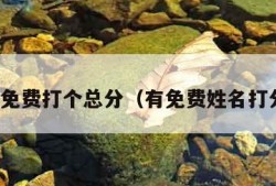 给名字免费打个总分（有免费姓名打分的吗）